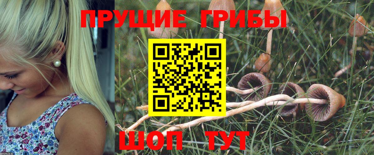 Галлюциногенные грибы ЛСД  Вход с VPN  Псилоцибиновые грибы Psilocybine cubensis  Симферополь 